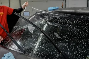 کاور محافظ شیشه جلو