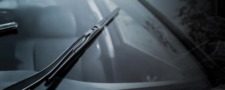 WhatsApp Image 2025-10-22 at 2.39.15 AM